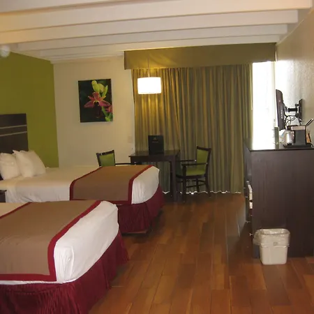 Best Western Orlando West-3