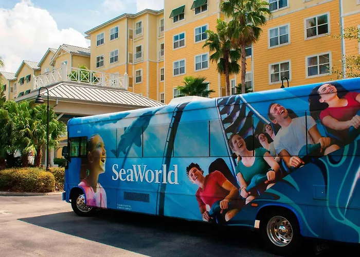 Hotel with pool: Residence Inn By Marriott Orlando At Seaworld